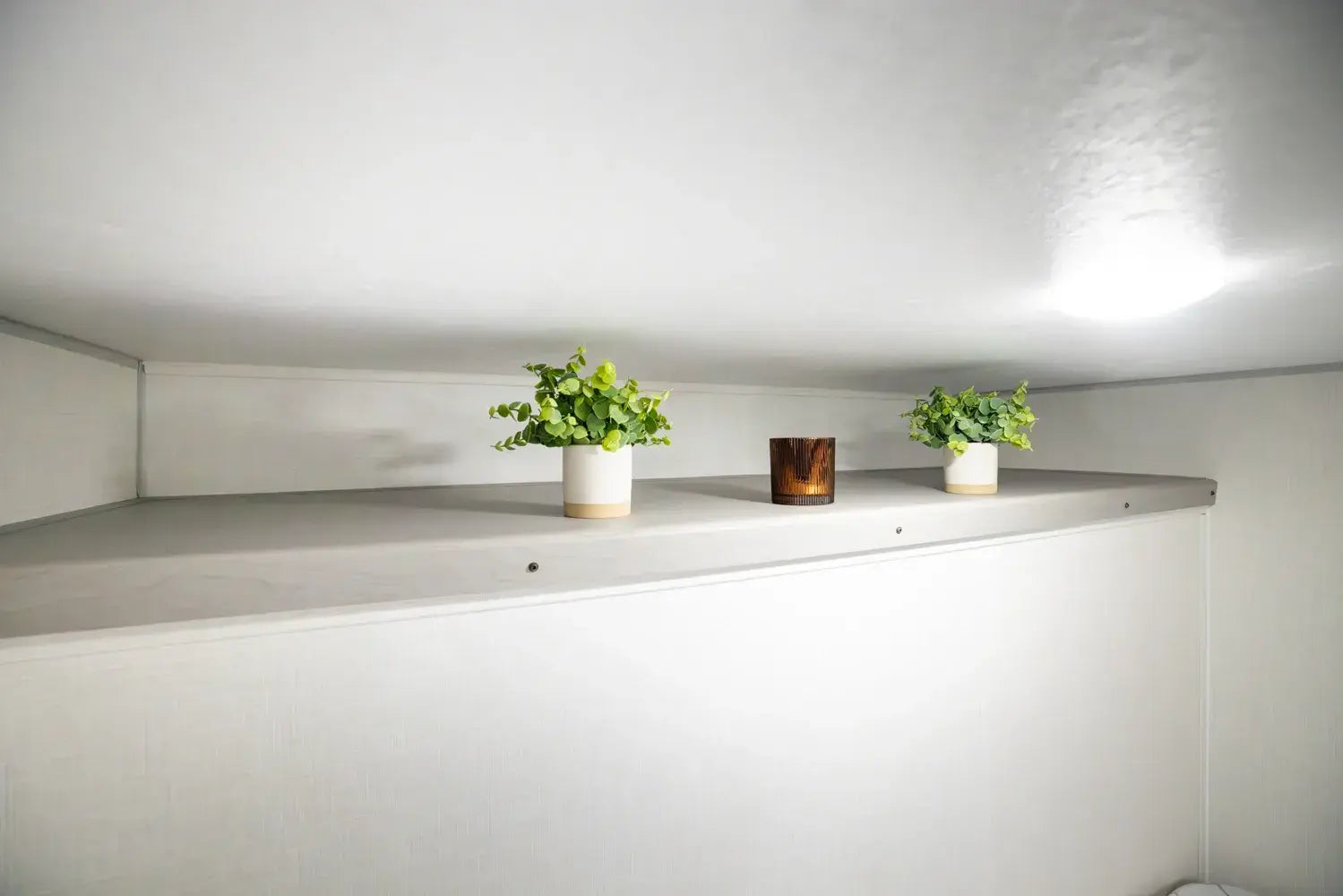 Two potted plants on a shelf against a white wall