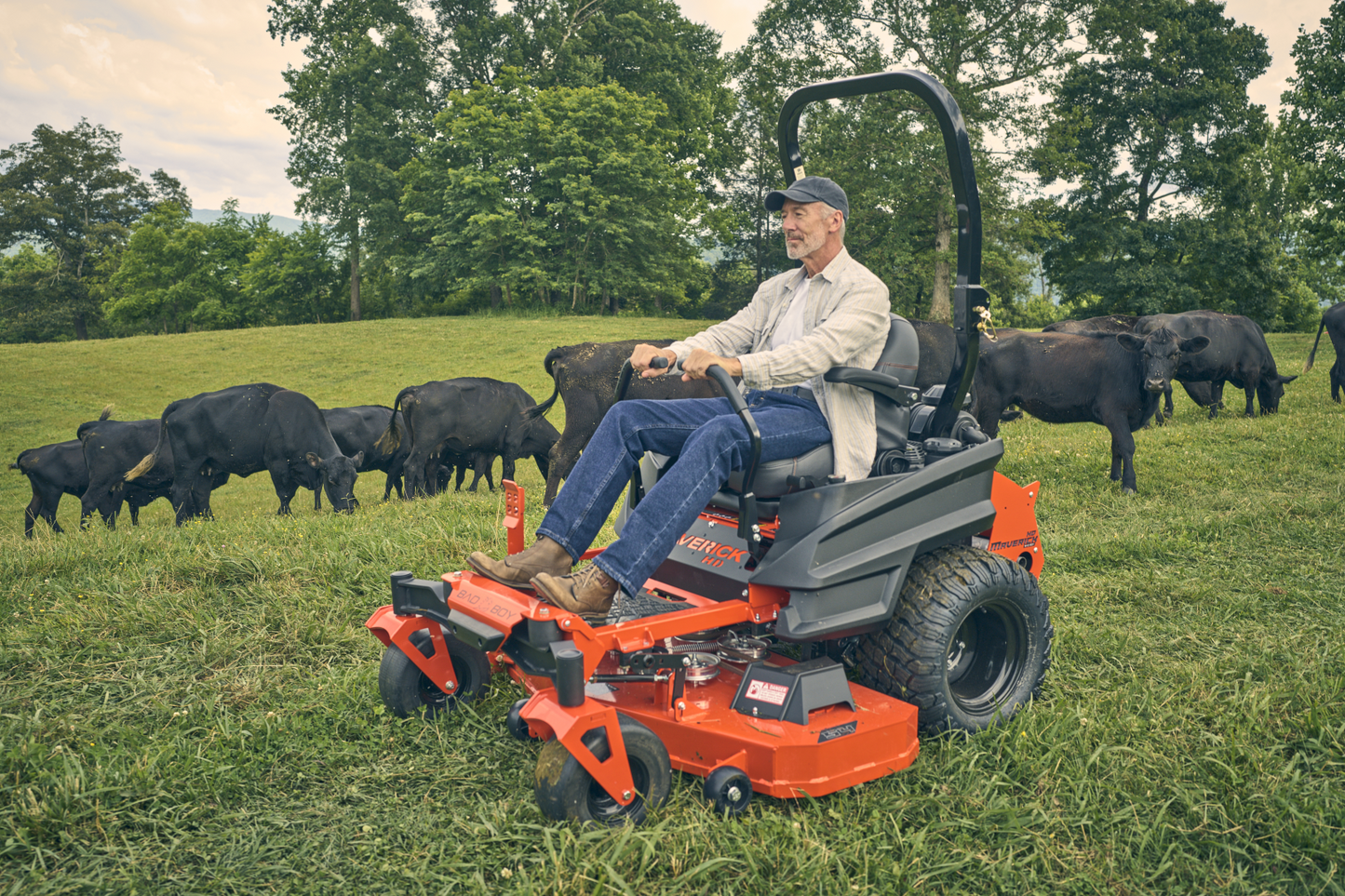 Man operating a lawn mower in a field with cows