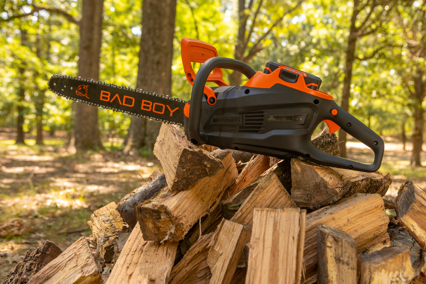 Bad Boy chainsaw on a pile of wood with a forest background