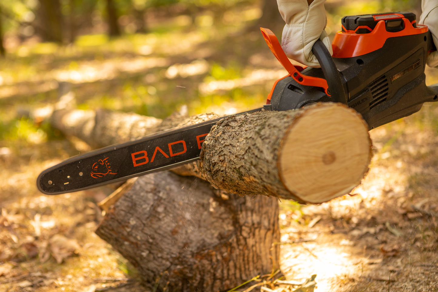Person using a chainsaw to cut a log in a forest setting